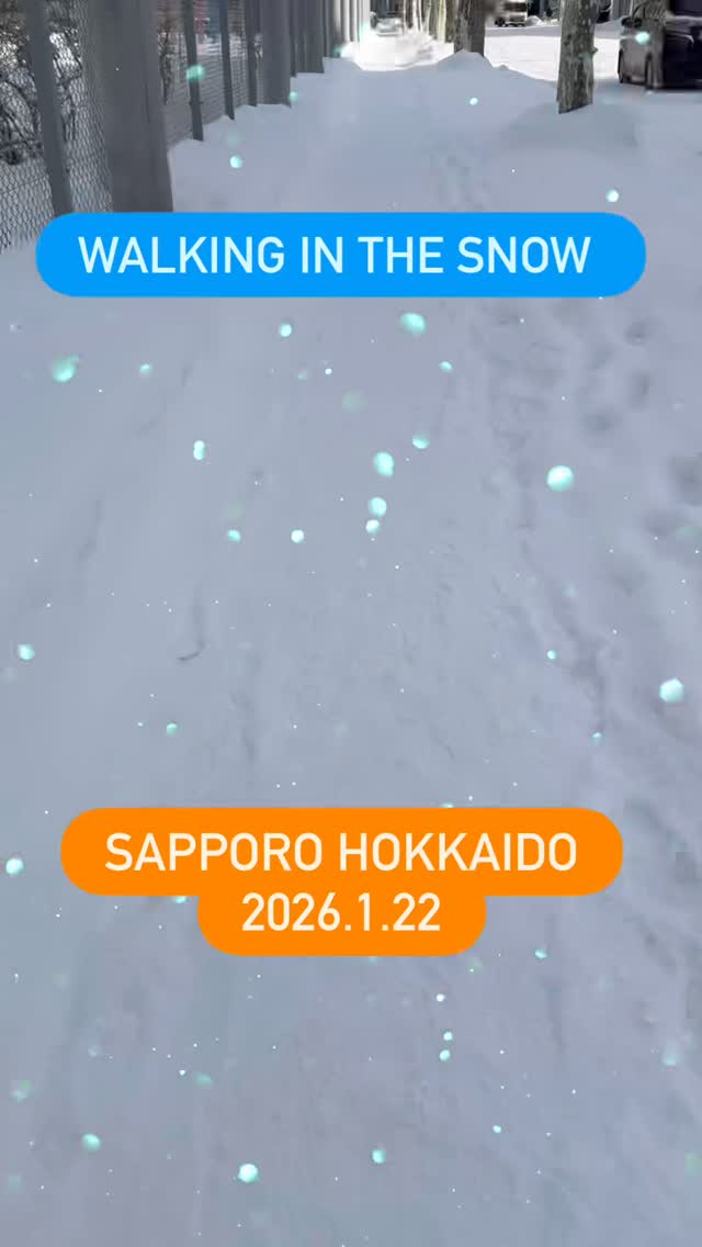 #sapporo #hokkaido #japan #snow #2026