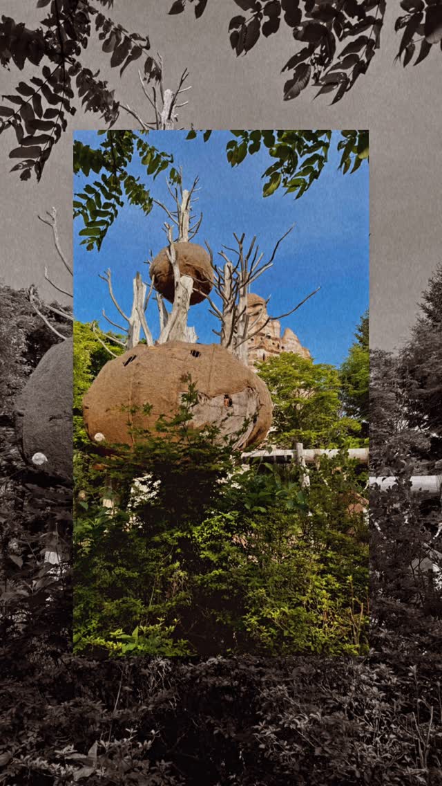 #Sapporo #hokkaido #takinopark #playground