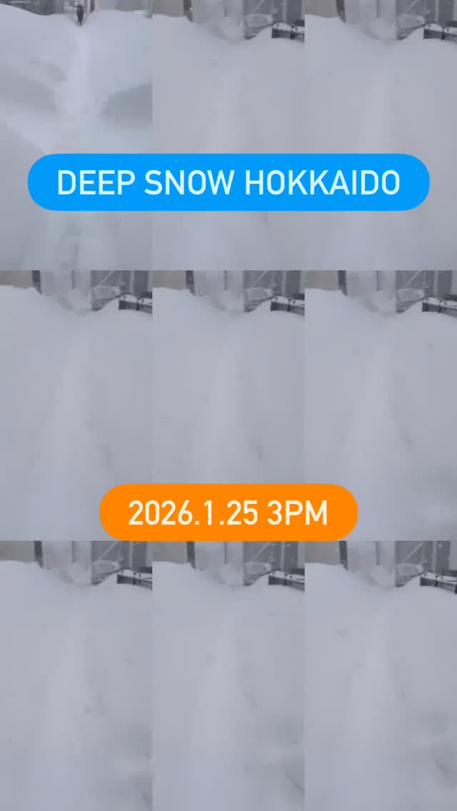 #sapporo #hokkaido #japan #snow #fun