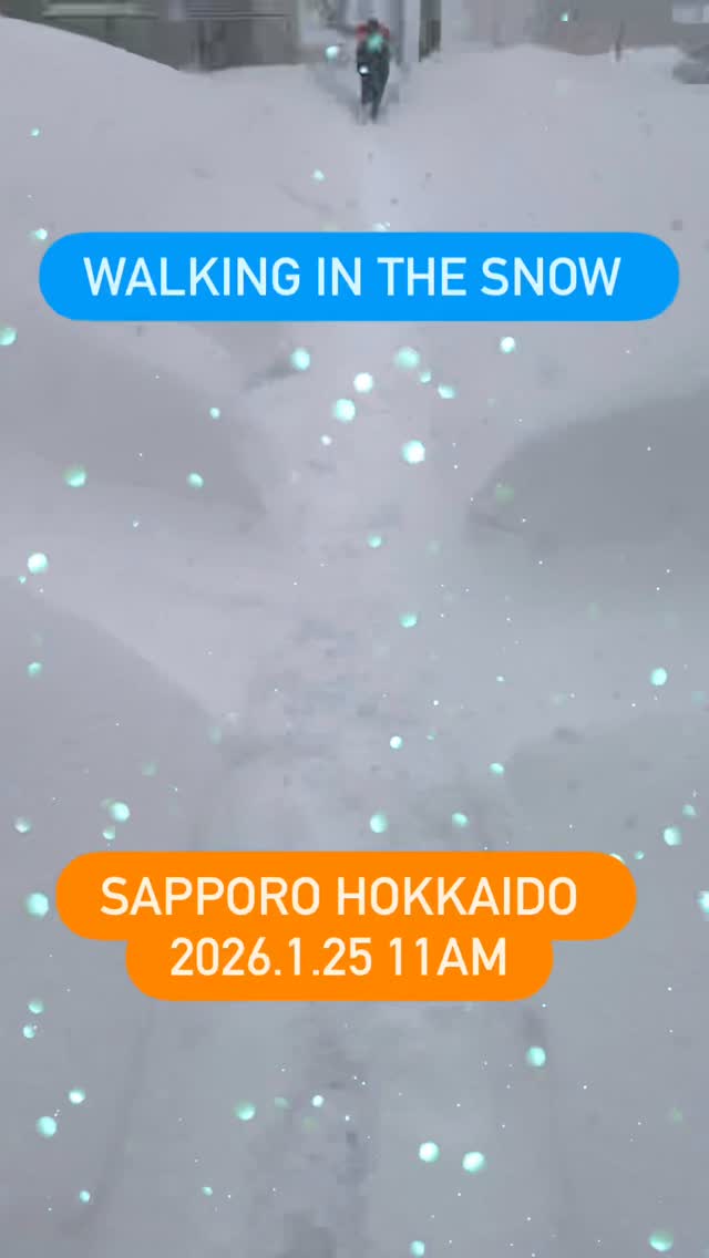 #snow #sapporo #hokkaido #japan #walking